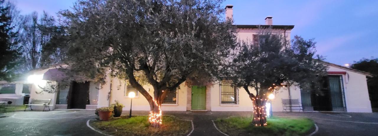 Chez Barnie Favoloso Appartamento Privato In Villa A 800Mt Ingresso Fiera リミニ エクステリア 写真